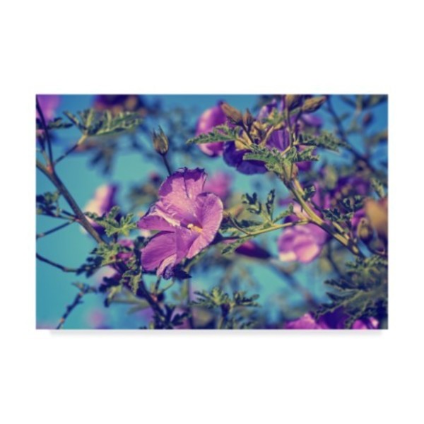 Trademark Fine Art Beata Czyzowska Young 'Purple In The Sky' Canvas Art, 12x19 BC00434-C1219GG